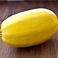 Picture of Spaghetti Squash