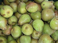 Picture of Comice Pears