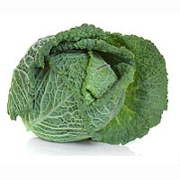 Picture of Tundra Cabbage