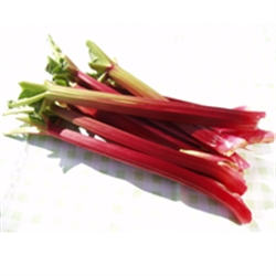 Picture of Outdoor Rhubarb