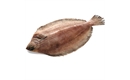 Picture of Witch Sole, Whole