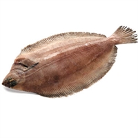 Picture of Witch Sole, Whole