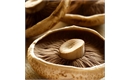 Picture of Portobello Chestnut Mushrooms