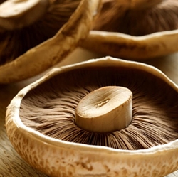 Picture of Portobello Chestnut Mushrooms