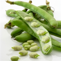 Picture of Broad Beans