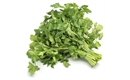 Picture of Flat Leaf Parsley, (Bunch)
