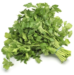 Picture of Flat Leaf Parsley, (Bunch)