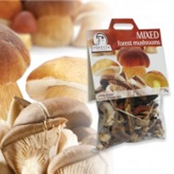 Picture of Dried Mixed Forest Mushrooms