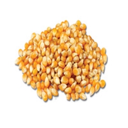Picture of Popping Corn (450g)