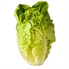 Picture of Large Cos Lettuce