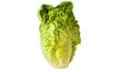 Picture of Large Cos Lettuce