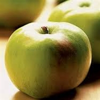 Picture of Bramley Apples