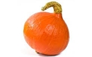 Picture of Onion Squash