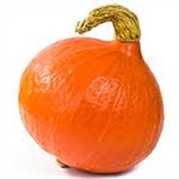 Picture of Onion Squash