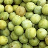Picture of Sussex Greengages