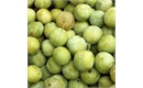 Picture of Sussex Greengages