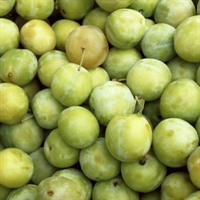 Picture of Sussex Greengages