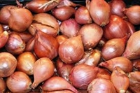 Picture of Round Shallots