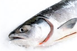Picture of Whole Fresh Salmon