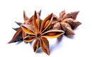 Picture of Star Anise (10g)