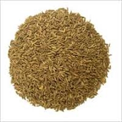 Picture of Caraway Seeds (40g)