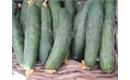 Picture of Ridge Cucumber