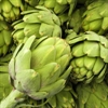 Picture of Globe Artichoke