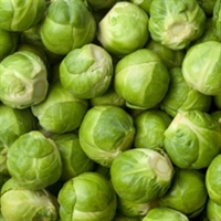 Picture of Brussel Sprouts