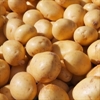 Picture of Charlotte Salad Potatoes