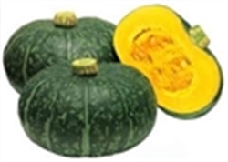 Picture of Hokoido Squash 