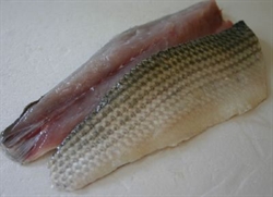 Picture of Cornish Grey Mullet Fillet