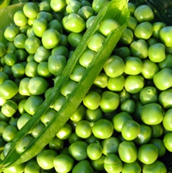 Picture of Fresh Peas