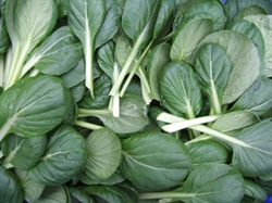 Picture of Tat Soi Leaves