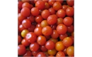 Picture of Round Salad Tomatoes