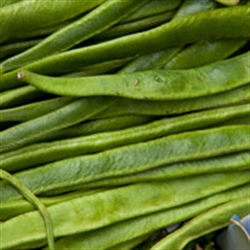 Picture of Runner beans
