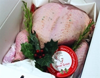 Picture of White Norfolk Turkey