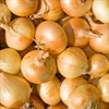 Picture of Brown Onions