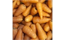 Picture of Chantenay Carrots