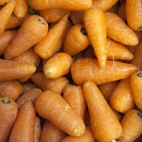 Picture of Chantenay Carrots