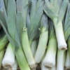 Picture of Leeks