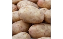 Picture of Baking Potatoes (washed)