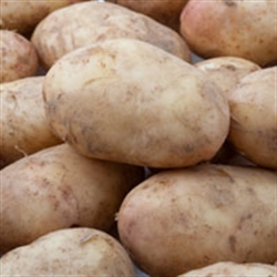 Picture of Baking Potatoes (washed)
