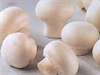 Picture of Baby Button Mushrooms