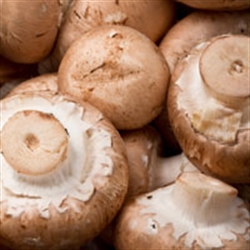 Picture of Chestnut Mushrooms