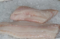 Picture of Coley Fillets