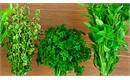 Picture of Fresh Herb Selection (approx 3 x 40g)
