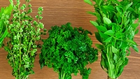 Picture of Fresh Herb Selection (approx 3 x 40g)