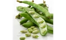 Picture of Broad Beans