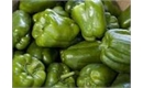 Picture of Green Peppers