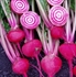Baby Chioggia Beetroot, bunched